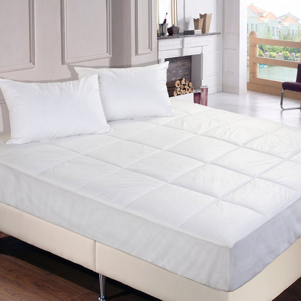 Stayclean Polyester Mattress Pad & Reviews Wayfair